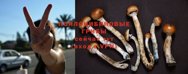 гидра Лагань