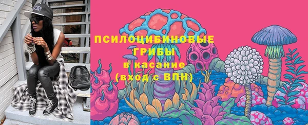 apvp Лиски