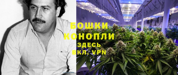 гидра Лагань