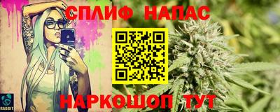 прущие грибы Волжск