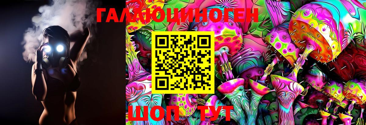 Псилоцибиновые грибы MAGIC MUSHROOMS Курганинск